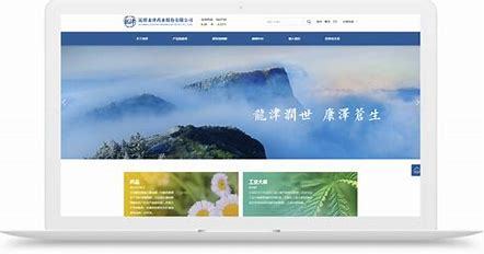 昆明网站建设公司申跃汇总:天眼查企业查询|2024年07月素材
