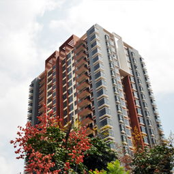 昆明网站建设 云南网络公司 新媒体运营服务商 app开发价格 专业小程序研发 昆明奥远科技